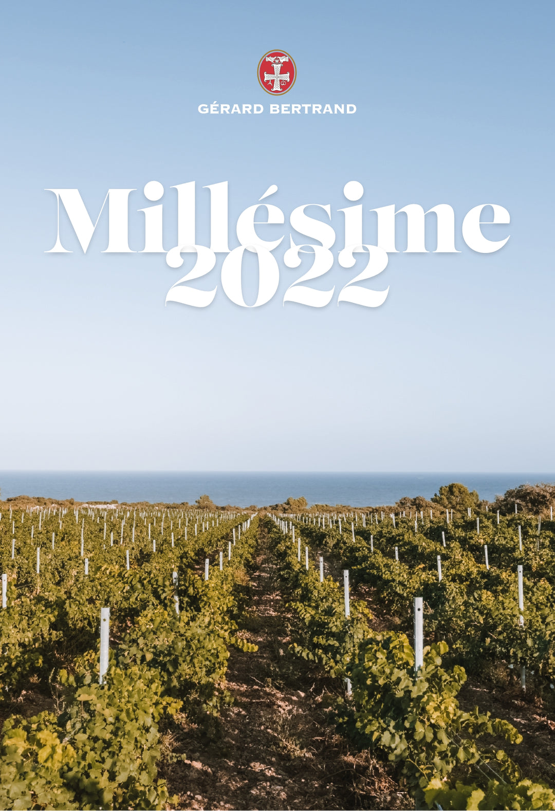 Millésimes 2022, une année d'anthologie 🍇