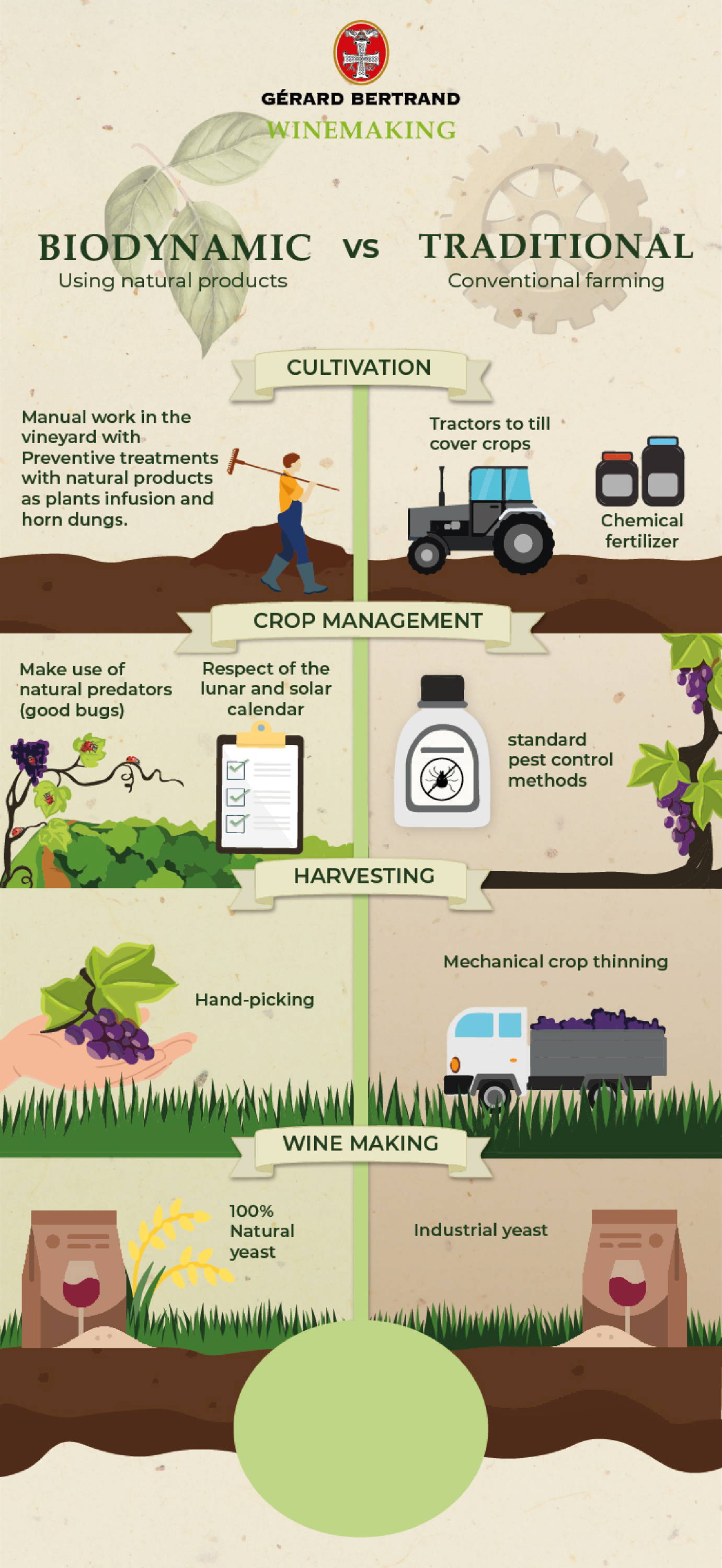 Winemaking
Biodynamic vs Traditional
Gérard Bertrand