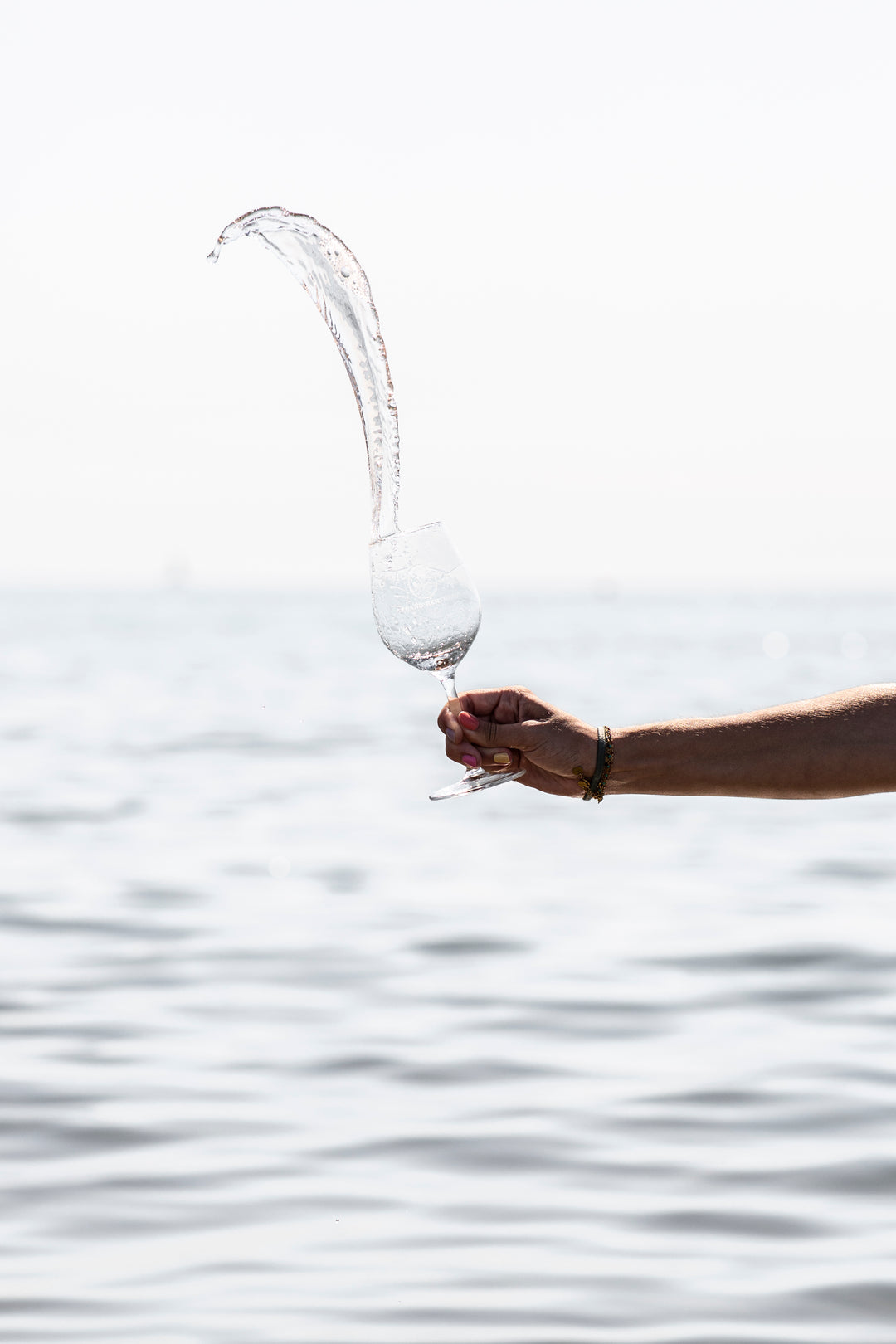 Régions viticoles du vin rosé